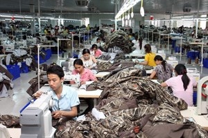 Tax agreement takes effect, Vietnam-NZ trade ups